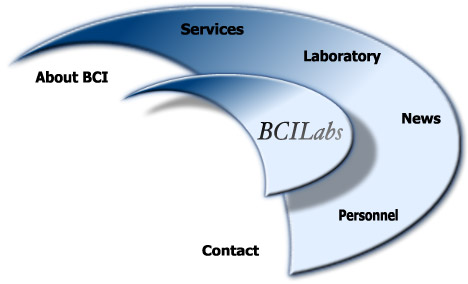 About BCI